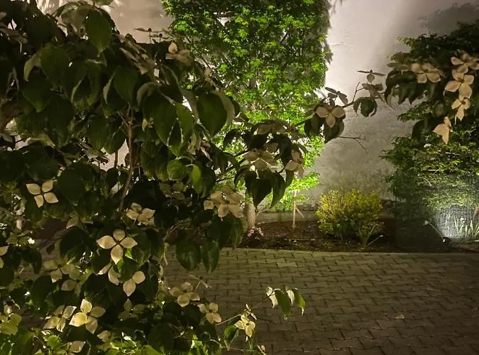 Altstadtjuwel @conny's